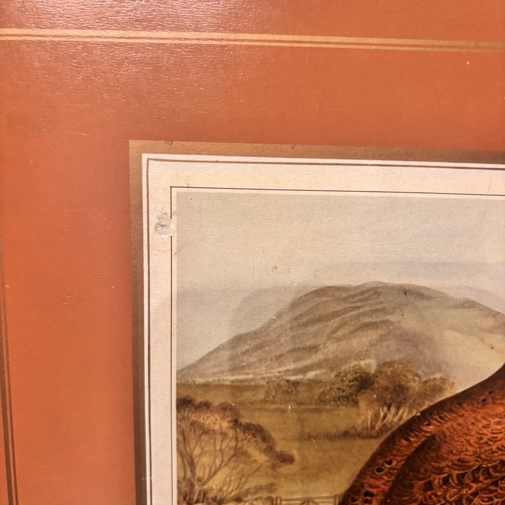 Vintage Pimpernel Red Grouse Cork Back Placemats Set‎ of 4 Wildlife Bird